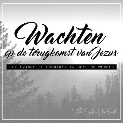 wachten op de terugkomst van jezus het evangelie van het koninkrijk prediken