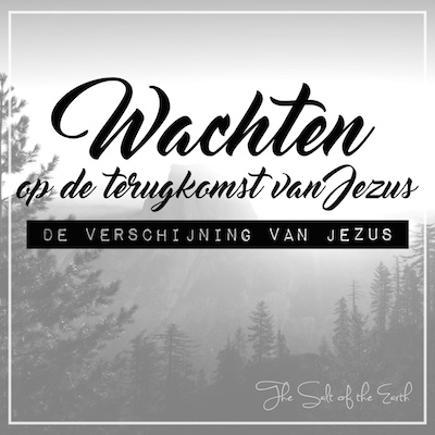 wachten op de terugkomst van jezus de verschijning van Jezus