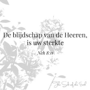 blijdschap van de Heere is uw sterkte