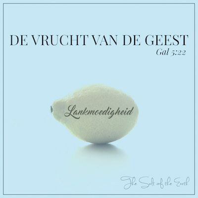 vrucht lankmoedigheid