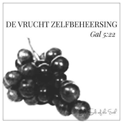 de vrucht zelfbeheersing galaten 5-22