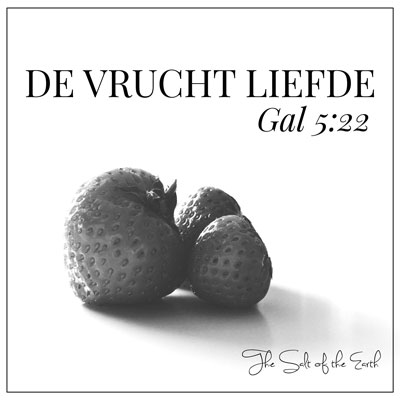 de vrucht liefde gal 5-22