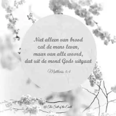 Bijbeltekst mattheus 4-4- niet alleen van brood zal de mens leven maar van alle woord dat van God uitgaat