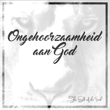 foto leeuwenkop met tekst ongehoorzaamheid aan God