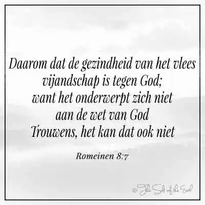 Bijbeltekst romeinen 8-7 daarom dat de gezindheid van het vlees vijandschap is tegen God want het onderwerpt zich niet aan de wet van God trouwens het kan dat ook niet