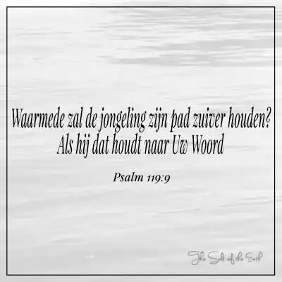 bijbeltekst psalm 119-9 waarmede zal jongeling zijn pad rein bewaren als hij dat houdt naar uw woord