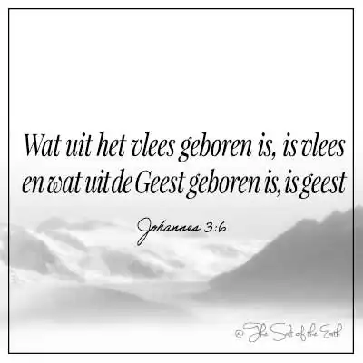 bijbeltekst johannes 3 wat uit het vlees geboren is is vlees en wat uit de geest geboren is geest