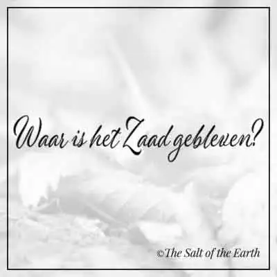 Artikel titel tekst waar is het zaad gebleven