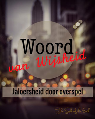 jaloersheid door overspel