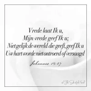 roos en bijbeltekst johannes 14-27 vrede laat ik u mijn vrede geef ik u niet gelijk de wereld die geeft geef ik u u hart worde niet ontroerd en of versaagd