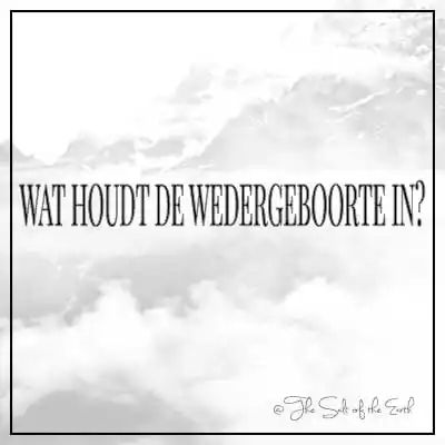 artikel titel wat houdt de wedergeboorte in