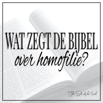 Wat zegt de Bijbel over homofilie?