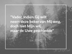 De strijd in het hof, vader indien gij wilt neem deze beker van Mij