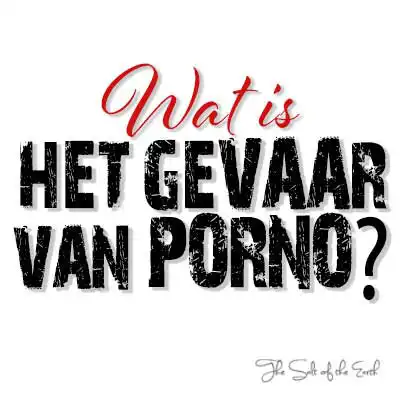 Blog titel wat is het gevaar van porno