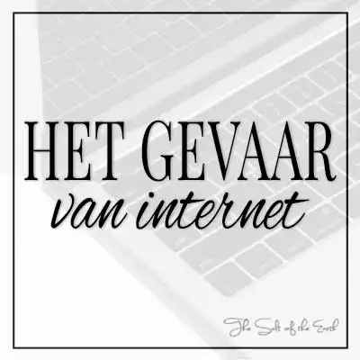 artikel titel het gevaar van internet