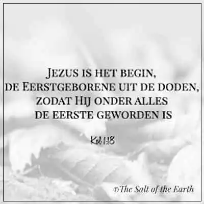 bijbeltekst kolossenzen 1-18 Jezus is het begin eerstgeborene uit doden zodat hij onder alles de eerste geworden is