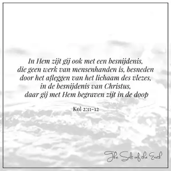 Bijbeltekst 2-11-12 in hem zijt gij ook besneden met een besnijdenis die geen werk van mensenhanden is besneden door het afleggen van het lichaam des vlezes in de besnijdenis van Christus daar gij met hem begraven zijt in de doop