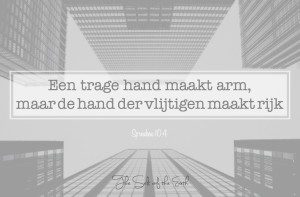 een trage hand maakt arm maar de hand der vlijtigen maakt rijk