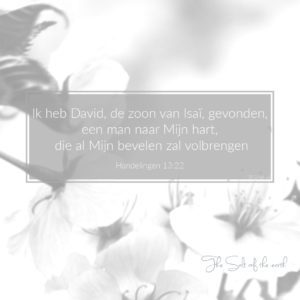 David een man naar Gods hart