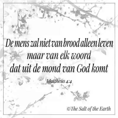 Bijbeltekst mattheus 4-4-de mens zal niet van brood alleen eten maar van elk woord dat uit de mond van God komt