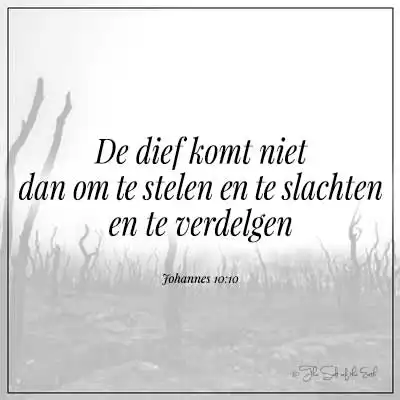 Bijbeltekst Johannes 10-10 de dief komt niet dan om te stelen te slachten en verdelgen