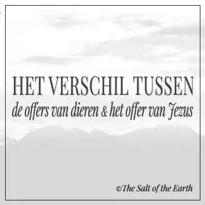bergen artikel titel tekst het verschil tussen de offers van dieren en het offer van Jezus