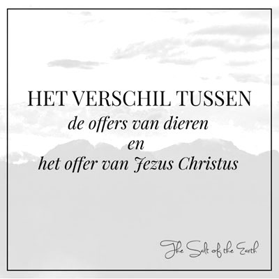 offers van dieren en offer van Jezus