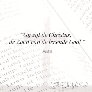 Gij zijt de Christus Zoon van de levende God