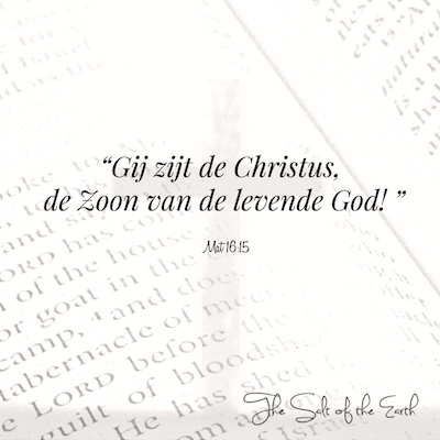 bijbeltekst mattheus 16-15 Gij zijt de Christus Zoon van de levende God