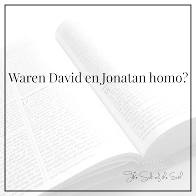 Waren David en Jonatan homo