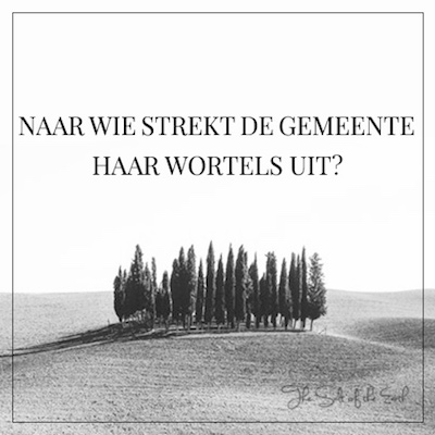 naar wie strekt de gemeente haar wortels uit?