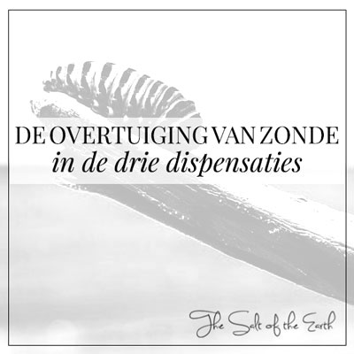 de overtuiging van zonde in de drie dispensaties