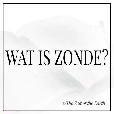Artikel tekst wat is zonde