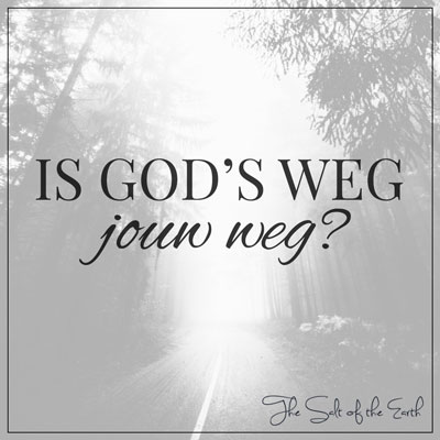 Gods weg jouw weg