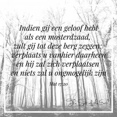 bijbeltekst mattheus 17-20 indien gij geloof hebt als een mosterdzaad zult gij tot deze berg zeggen verplaats u vanhier daarheen en hij zal zich verplaatsen en niets zal u onmogelijk zijn