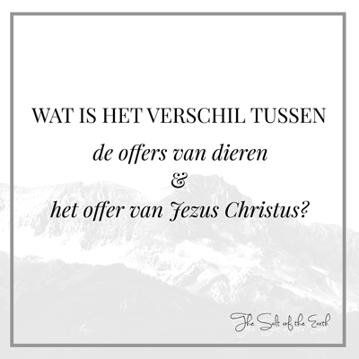 offers van dieren en offer van Jezus