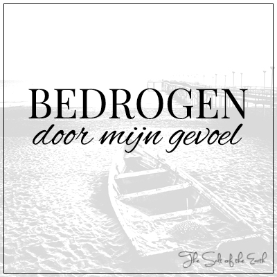 bedrogen door mijn gevoel