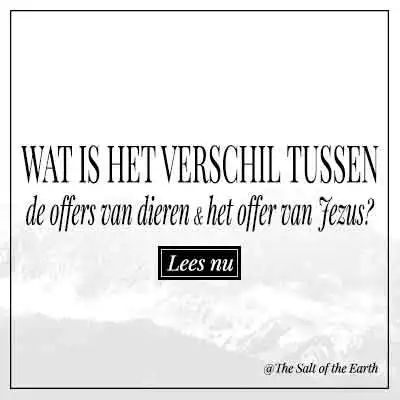 Artikel titel text wat is het verschil tussen offers dieren en offer van Jezus