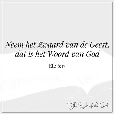 Zwaard van de Geest 