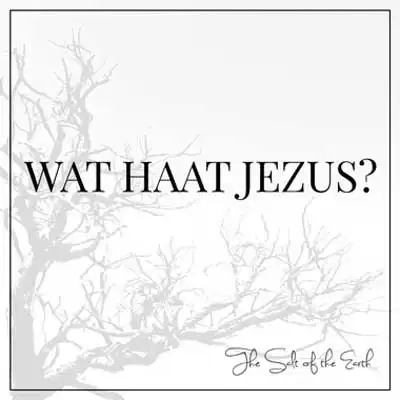 artikel titel wat haat Jezus