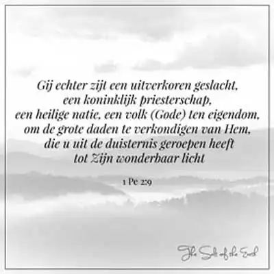 Bijbeltekst 1 Petrus 2-9-gij echter zijt een uitverkoren geslacht een koninklijk priesterschap een heilige natie een volk Gode ten eigendom om de grote daden te verkondigen van hem die u uit de duisternis geroepen heeft tot zijn wonderbaarlijk licht