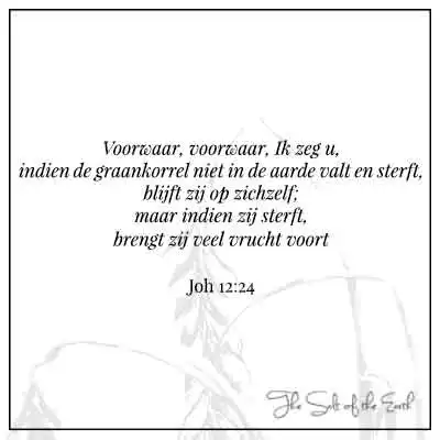 bijbeltekst johannes 12-24 graankorrel niet in aarde valt en sterft