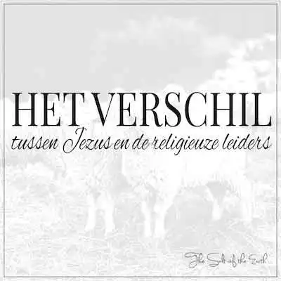 artikel titel text het verschil tussen Jezus en religieuze leiders