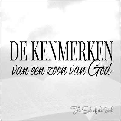 De kenmerken van een zoon van God