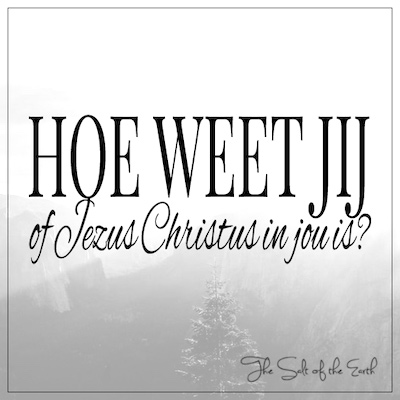 Hoe weet jij of Jezus Christus in jou is?