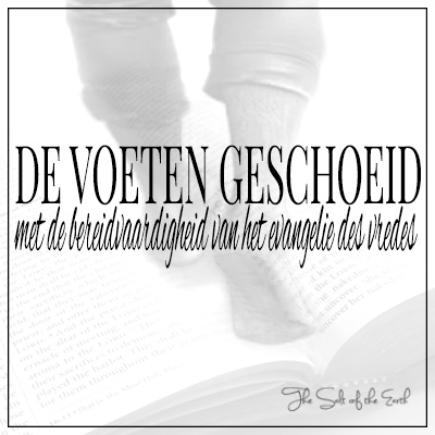 De voeten geschoeid met de bereidvaardigheid van het evangelie des vredes