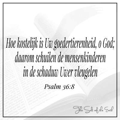 bijbeltekst psalm 36-8 kostelijk is uw goedertierenheid o God