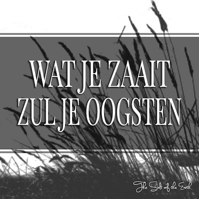 Wat je zaait zul je oogsten