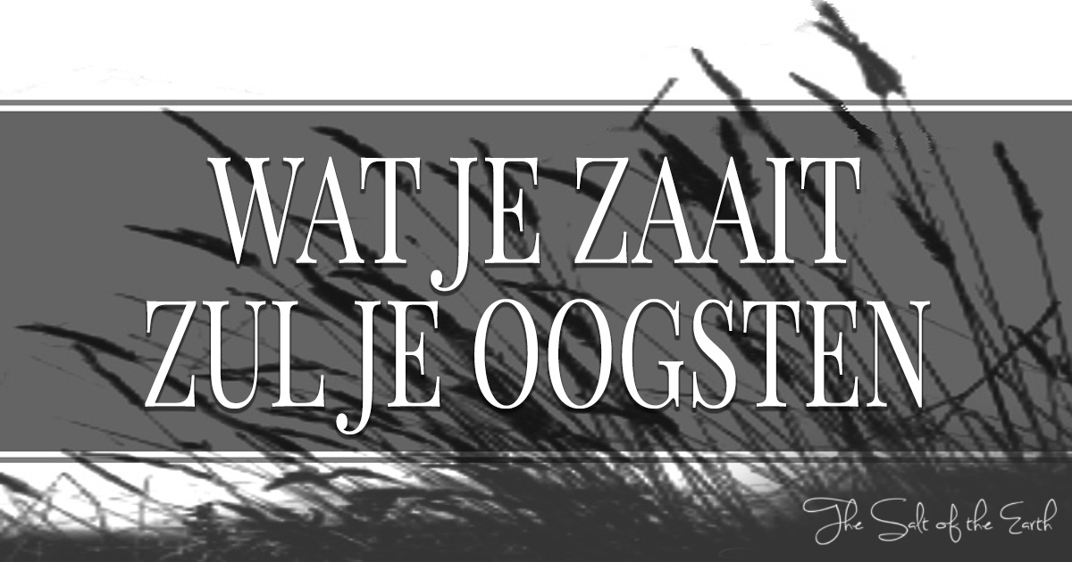 Wat je zaait zul je oogsten | Salt of the earth