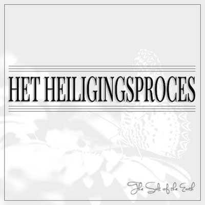 Heiligingsproces